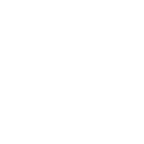 The SWOT Analysis